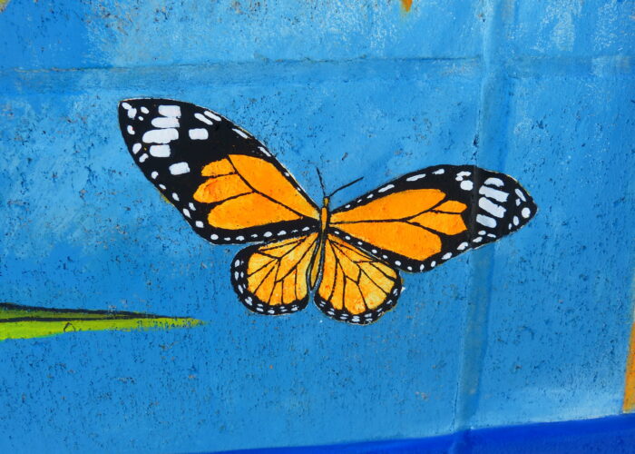 Naples mural butterfly